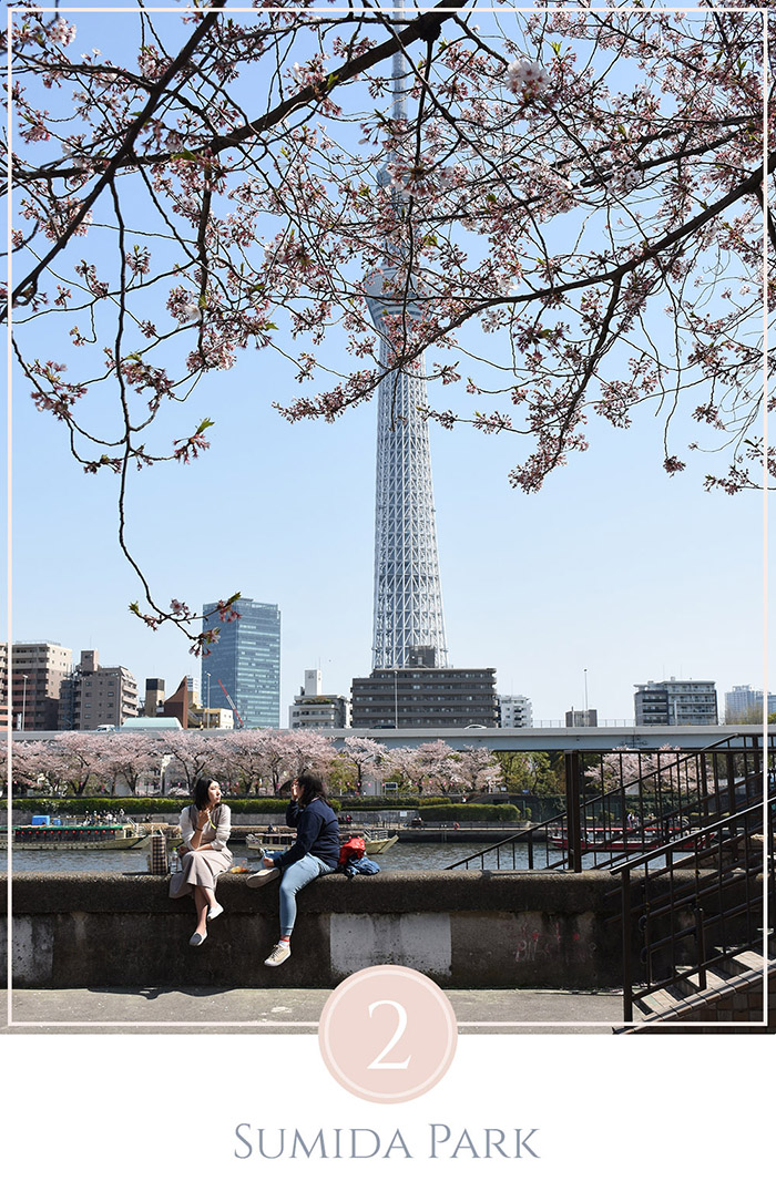 Twee jonge meiden genieten van de zon aan de rivier in Sumida Park Tokyo met de Tokyo Skytree in de achtergrond
