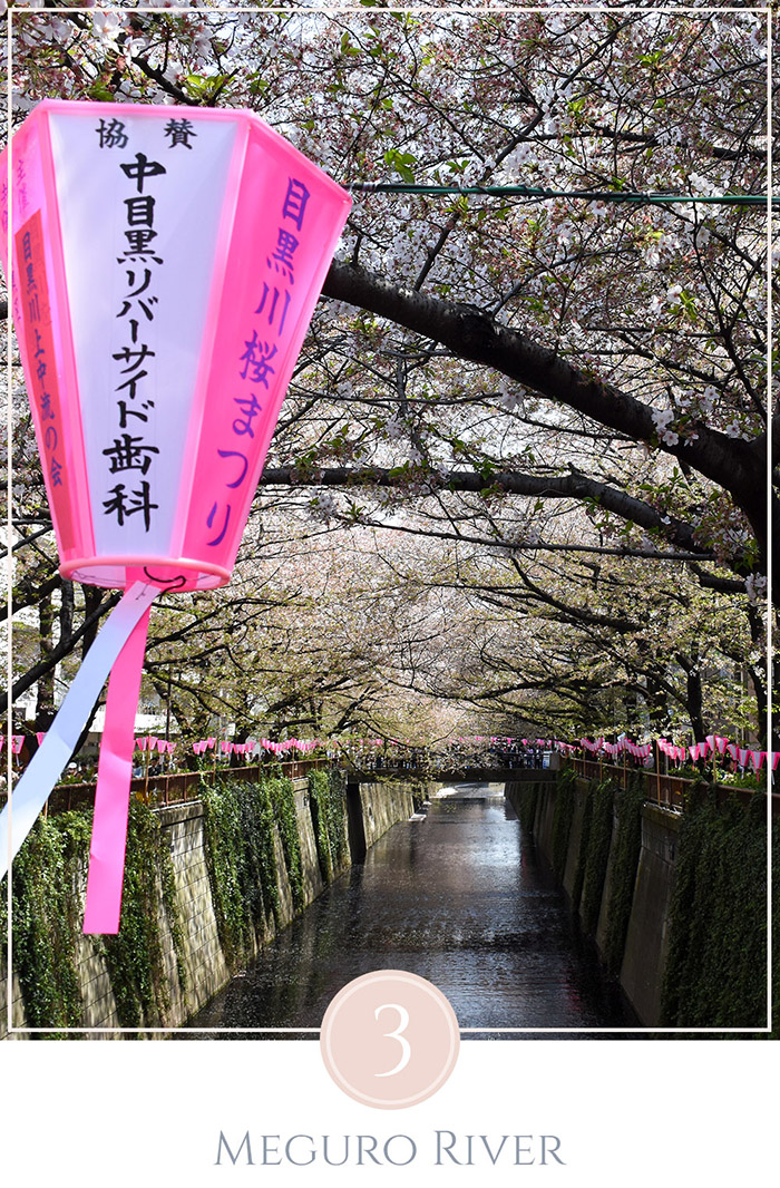 Closeup van een Japanse lantaarn met in de achtergrond Meguo River omgeven met kersenbloesem bomen, ter viering van sakura