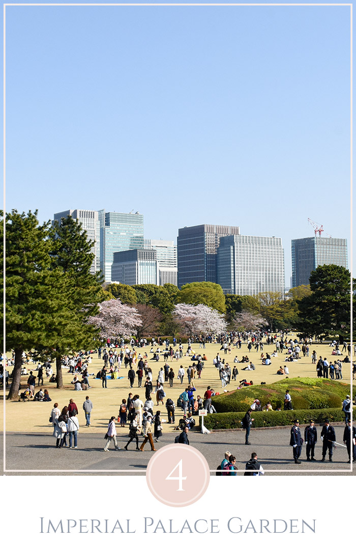 Overzicht over de oostelijke Imperial Palace Gardens in Tokyo met veel mensen, geel gras, en kersenbloesems in de achtergrond