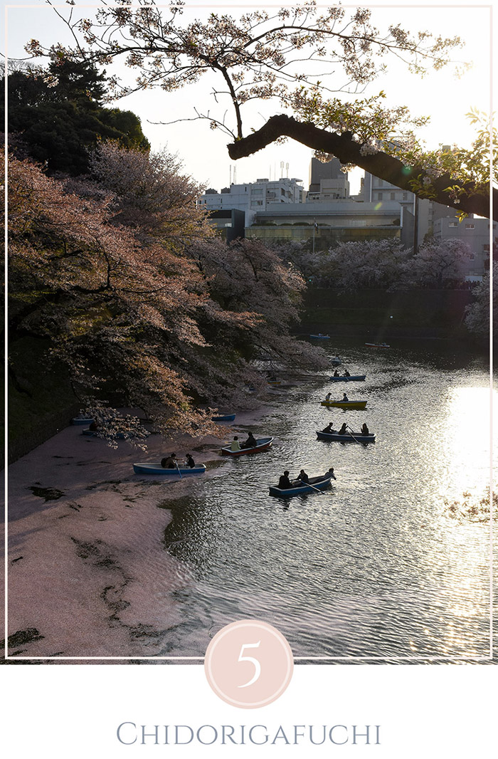 Boten in het water onder de kersenbomen, bloesems drijven in het water, de zon gaat onder,in Chidorigafuchi park in Tokyo