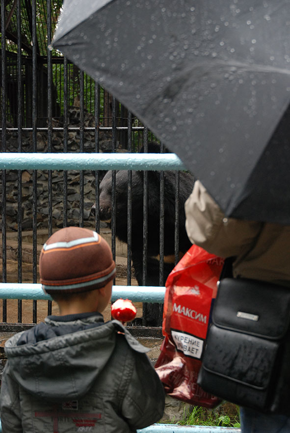 Novosibirsk zoopark dierentuin mensjes kijken