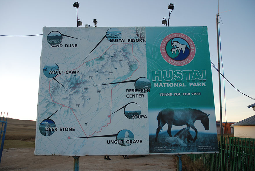 Hustai nationaal park Mongolië