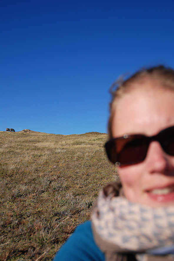Hustai nationaal park Mongolië przewalskii paarden selfie