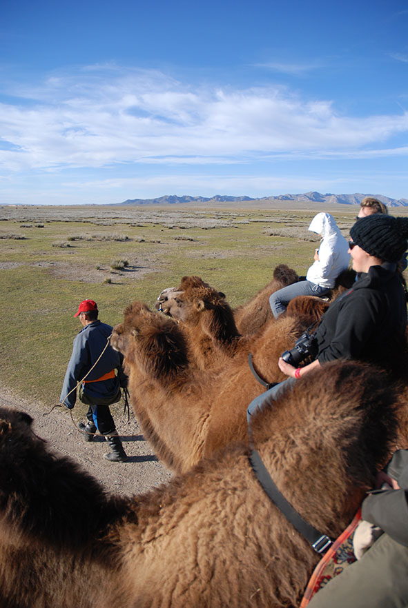 Kameel rijden semidesert Mongolië