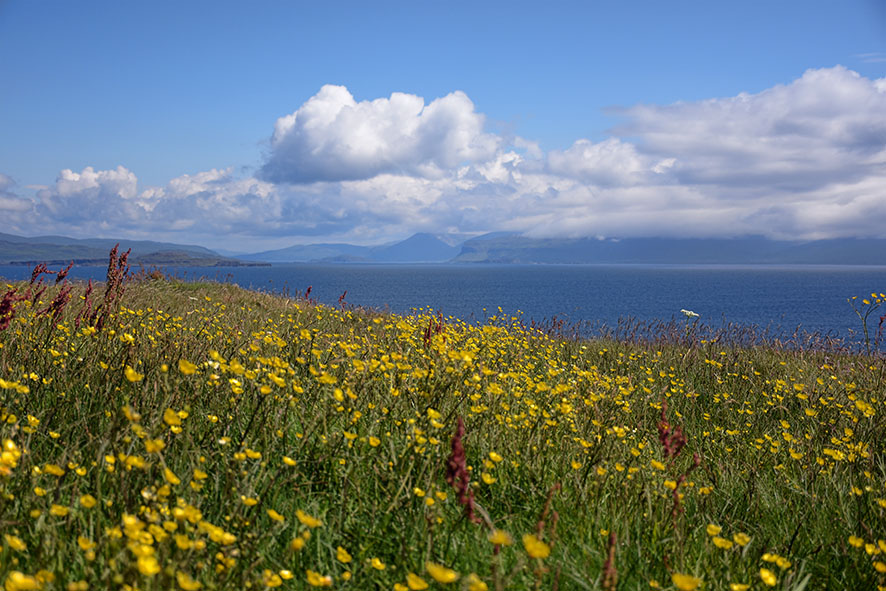 Uitzicht Staffa Schotland