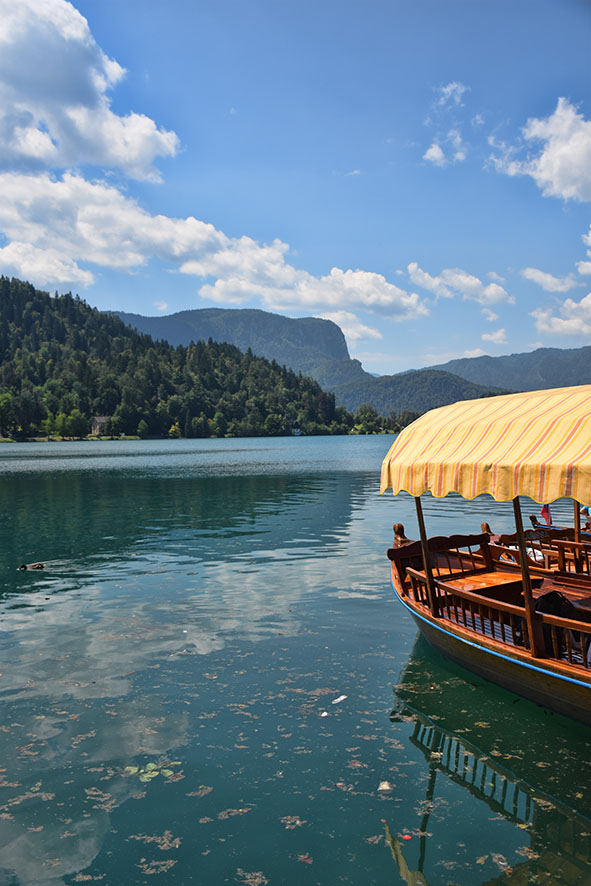 Boot in het meer van Bled