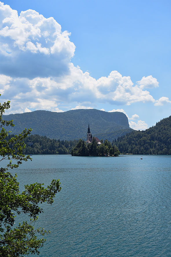 Kasteel in het meer van Bled Slovenië